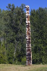 Totem former representative of human beings Canada