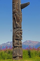 Detail of Totem old Gitksan Nation in Canada