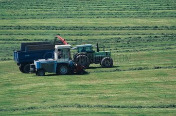 Tractor ensilaging grass of a meadow Meurthe et Moselle
