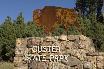 Custer State Park Black Hills South Dakota USA.
