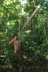 Jäger im Wald Tau't Batu Palawan Philippinen