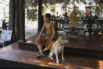 Hund mit Abmessungen eines Bonze in der Nähe eines buddhistischen Heiligtums