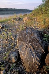 Striated rock on the bank of the Mackenzie river Canada