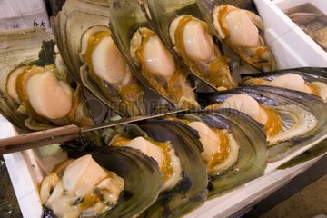 Muschelfischmarkt von Tsukiji Tokyo Japan