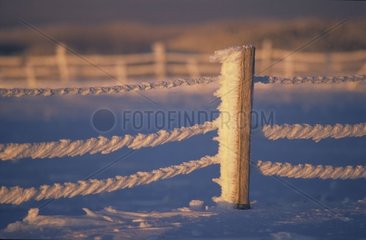 Barriere mit Frost oben am Elsace Ballon bedeckt