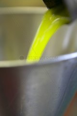 Olive oil of the mill