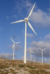 Griechenland Crest Wind Turbine Field