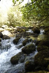 Rivière Ason au Parc Naturel de Collados del Ason Espagne
