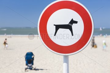 Billboard ban dogs on a beach in France
