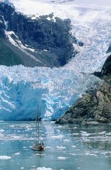 Canal Beagle  croisière sur le bateau le Kotick  glacier