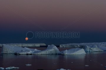 Moonrise on the ice floe Terre Adelie