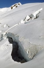 Fiescher glacier seen of the Agassizhorn mount Switzerland