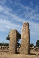 Geschnitzte Statuen-Menhir-Ausrichtung Stantari Korsika Frankreich