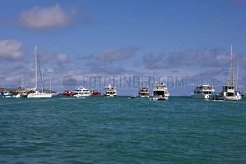 Hafen von Puerto Ayora auf Santa Cruz Island im Galapagos