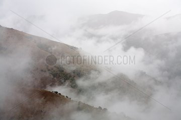 Sardinian mountains in the mist Seulo Sardinia Italy
