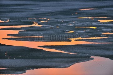 Eisplatten auf dem Lake Island Stanwell Fletcher Somerset