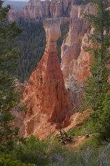 Piton rocheux Bryce Canyon