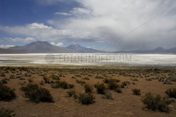 Salar de Surire Lauca Nationalpark Chili