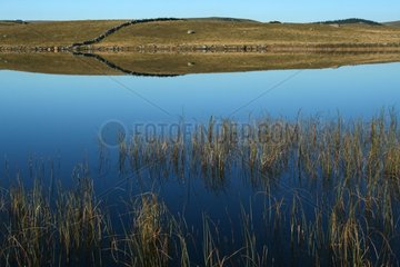 Stone wall and its reflection in San Andeol lake Aubrac