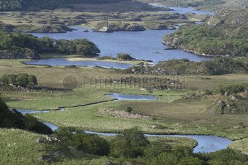 Seen und Torfgeräte des Killarney -Nationalparks Irland