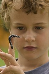 Boy with a Slimy salamander on the finger Pennsylvannia USA