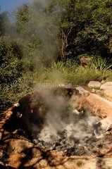 Fumaroles and hot mud Volcano Rincon de la Vieja