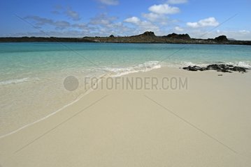 Sandstrand in der NÃ¤he von Sullivan Bay Galapagos
