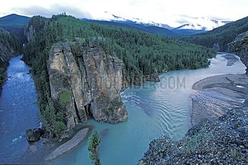 Confluent de 2 rivières au Willmore Wilderness Park Canada