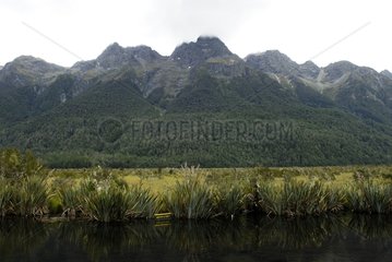 Mirror lakeside Fiordland NP New Zealand