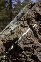 Rock with asbestos Troodos Mountains Cyprus