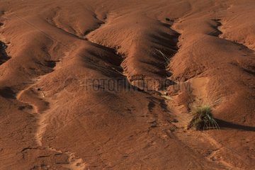 Erosion sur sable Saison sèche Australie