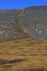 Erosion d'une colline et toundra en automne Yukon Canada