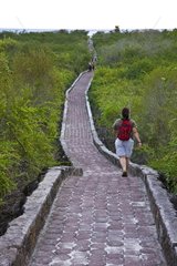 Trail to Playa Bahia Tortuga Galapagos Isabela Island
