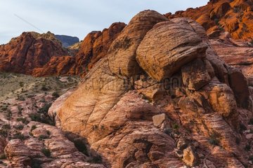 Red Rock Canyon in Nevada USA