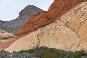 Red Rock Canyon in Nevada USA