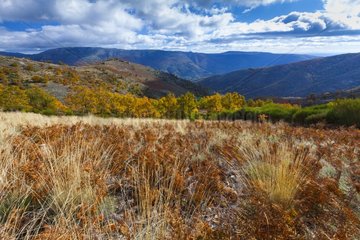 Jerte Valley in autumn Extremadura Spain
