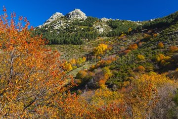 Ambroz Valley in autumn Extremadura Spain