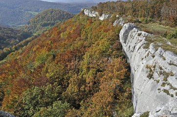 Cret-Des-Roches Naturschutzgebiet im Herbst beobachten Frankreich