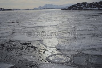 Eis schmilzt auf der Oberfläche des Meeres Lofoten Norwegen