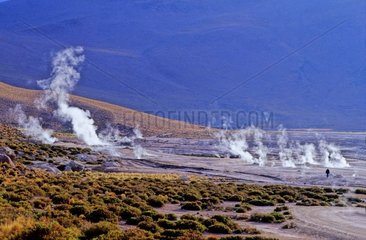 Geyser of Tatio area of the Andes Atacama Chile