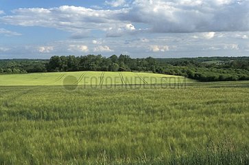 Landschaft von Périgord Vert Frankreich 24
