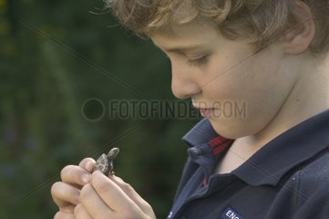 7 years old boy holding & observing a young tortoise USA