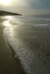 Foam on a beach at sunset Calvados France