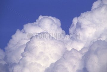 Gros plan de Cumulus dans un ciel bleu