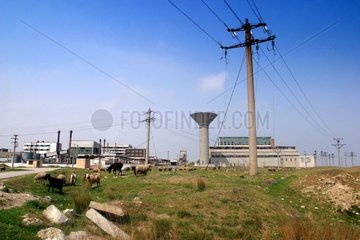 Machine nuclear of Vadu Romania April [AT]
