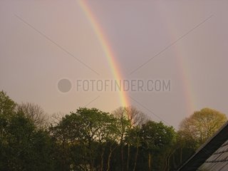 Rainbows in the sky and band of Alexander over the trees