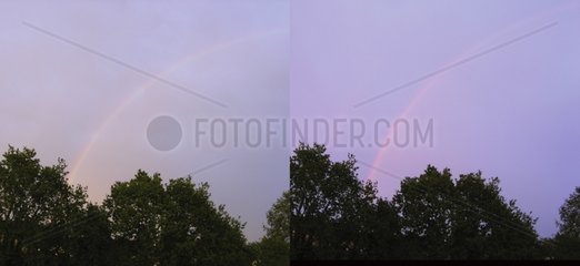 Transformation of a rainbow at sunset France