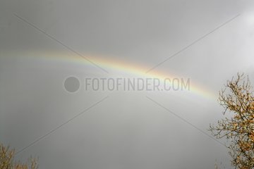 Supernumerary arcs in the main arch of a rainbow sky