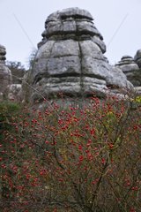 Rock formation Torcal de Antequera Andalusia Spain