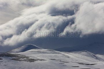 Snowy landscape of the National Park Dovrefjell Norway